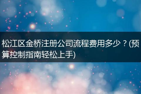 松江区金桥注册公司流程费用多少？(预算控制指南轻松上手)