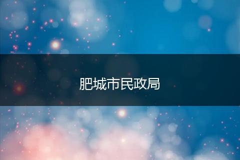 肥城市民政局
