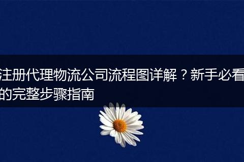 注册代理物流公司流程图详解？新手必看的完整步骤指南