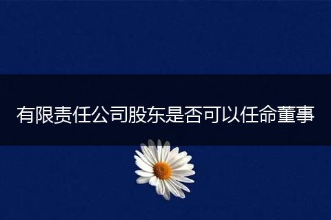 有限责任公司股东是否可以任命董事