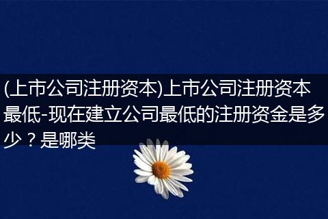 (上市公司注册资本)上市公司注册资本最低-现在建立公司最低的注册资金是多少？是哪类