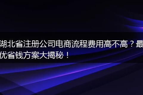 湖北省注册公司电商流程费用高不高？最优省钱方案大揭秘！