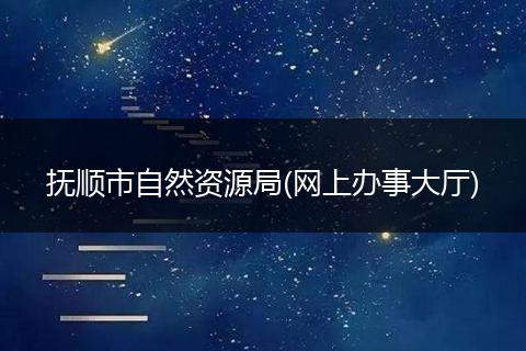 抚顺市自然资源局(网上办事大厅)