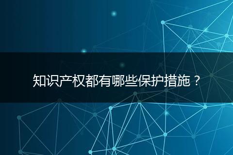 知识产权都有哪些保护措施？