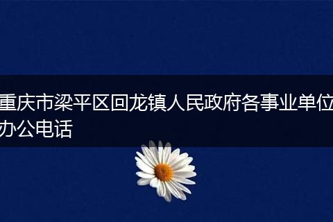 重庆市梁平区回龙镇人民政府各事业单位办公电话