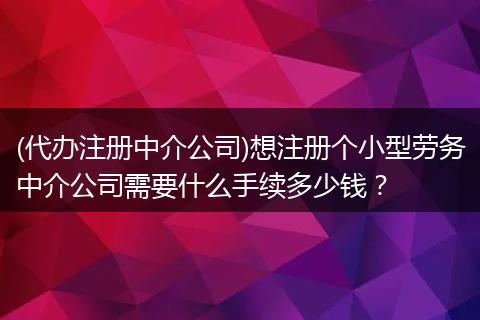 (代办注册中介公司)想注册个小型劳务中介公司需要什么手续多少钱？