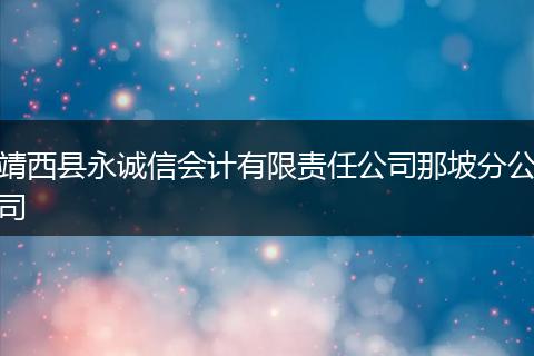 靖西县永诚信会计有限责任公司那坡分公司