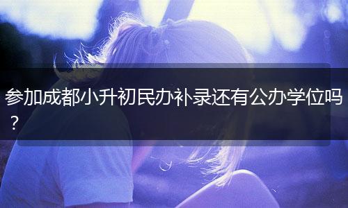 参加成都小升初民办补录还有公办学位吗？