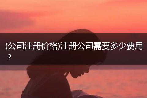 (公司注册价格)注册公司需要多少费用?