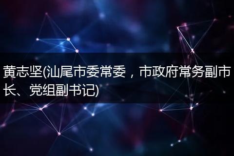 黄志坚(汕尾市委常委，市政府常务副市长、党组副书记)
