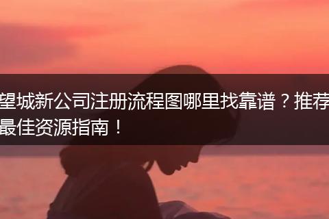 望城新公司注册流程图哪里找靠谱？推荐最佳资源指南！