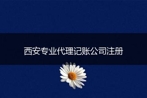 西安专业代理记账公司注册