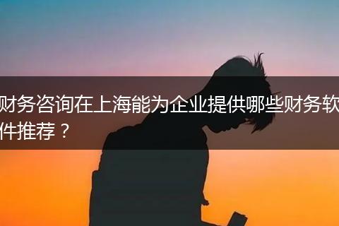 财务咨询在上海能为企业提供哪些财务软件推荐？