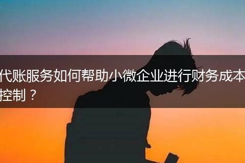 代账服务如何帮助小微企业进行财务成本控制？