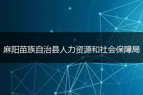 麻阳苗族自治县人力资源和社会保障局