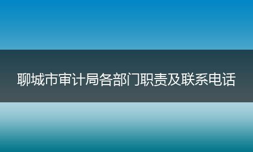 聊城市审计局各部门职责及联系电话