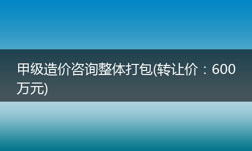 甲级造价咨询整体打包(转让价：600万元)