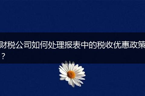 财税公司如何处理报表中的税收优惠政策？