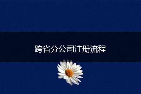 跨省分公司注册流程