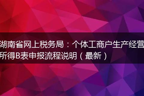 湖南省网上税务局：个体工商户生产经营所得B表申报流程说明（最新）
