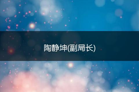 陶静坤(副局长)