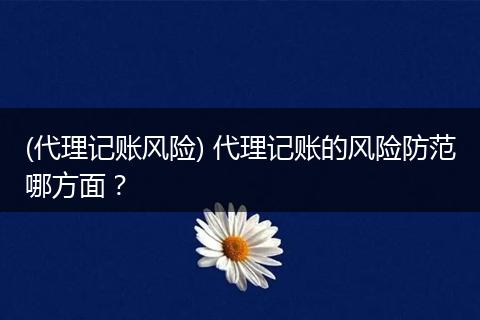 (代理记账风险) 代理记账的风险防范哪方面？