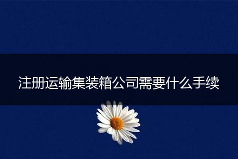 注册运输集装箱公司需要什么手续