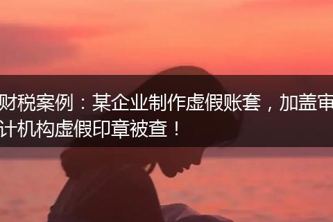 财税案例：某企业制作虚假账套，加盖审计机构虚假印章被查！
