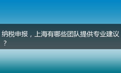 纳税申报，上海有哪些团队提供专业建议？