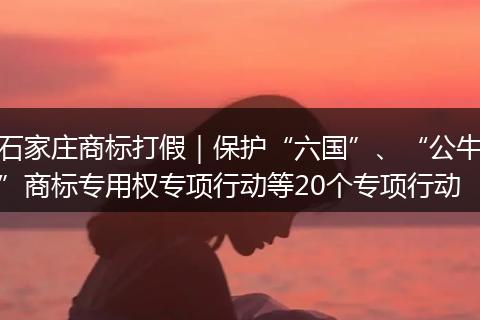 石家庄商标打假｜保护“六国”、“公牛”商标专用权专项行动等20个专项行动