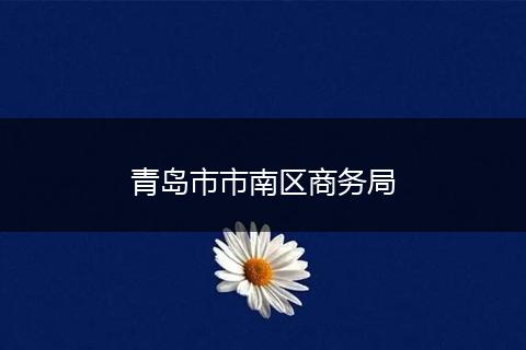 青岛市市南区商务局