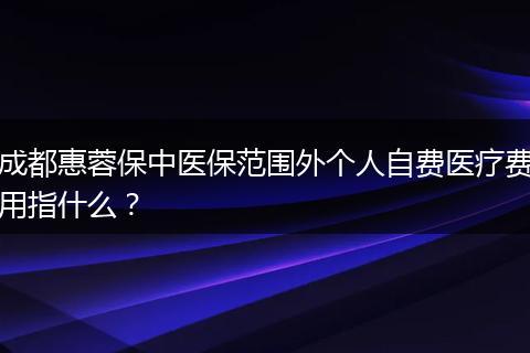 成都惠蓉保中医保范围外个人自费医疗费用指什么？