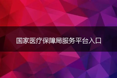 国家医疗保障局服务平台入口