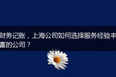 财务记账，上海公司如何选择服务经验丰富的公司？