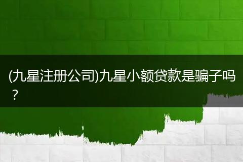 (九星注册公司)九星小额贷款是骗子吗？