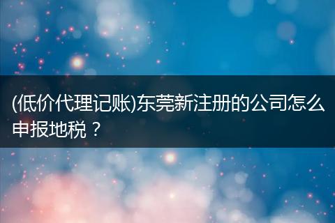 (低价代理记账)东莞新注册的公司怎么申报地税？