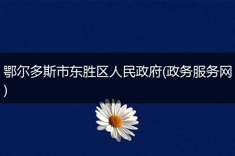 鄂尔多斯市东胜区人民政府(政务服务网)