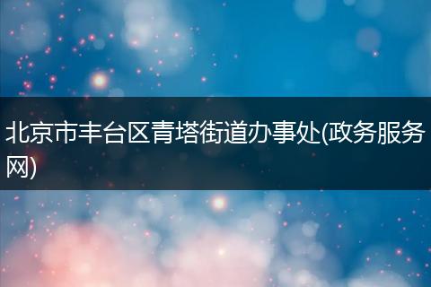 北京市丰台区青塔街道办事处(政务服务网)