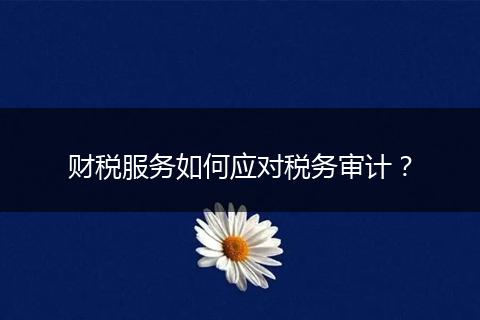 财税服务如何应对税务审计？