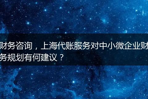 财务咨询，上海代账服务对中小微企业财务规划有何建议？