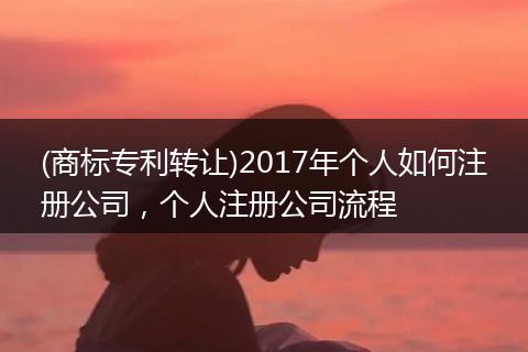 (商标专利转让)2017年个人如何注册公司,个人注册公司流程
