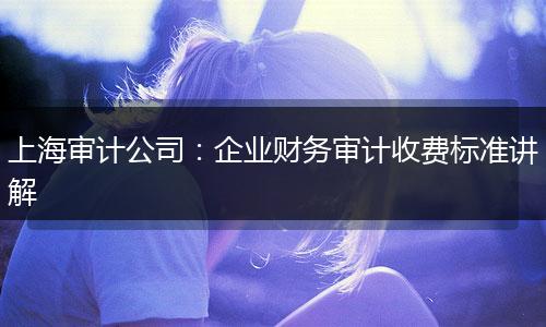 上海审计公司：企业财务审计收费标准讲解