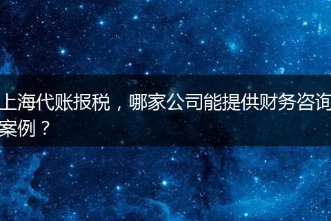 上海代账报税，哪家公司能提供财务咨询案例？
