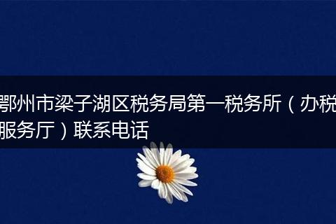 鄂州市梁子湖区税务局第一税务所（办税服务厅）联系电话