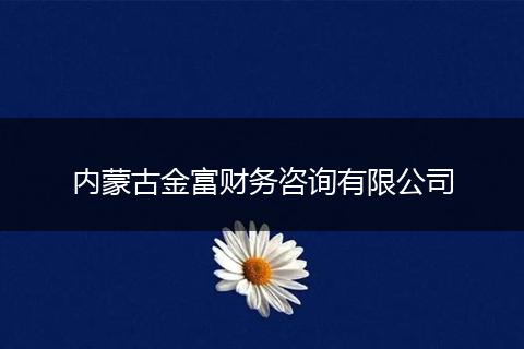 内蒙古金富财务咨询有限公司