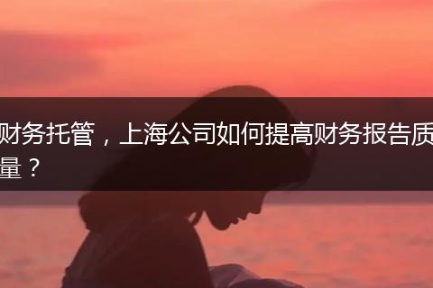 财务托管，上海公司如何提高财务报告质量？