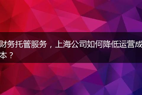财务托管服务，上海公司如何降低运营成本？