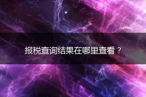 报税查询结果在哪里查看？