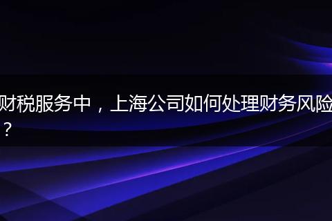 财税服务中，上海公司如何处理财务风险？