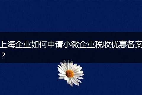 上海企业如何申请小微企业税收优惠备案？